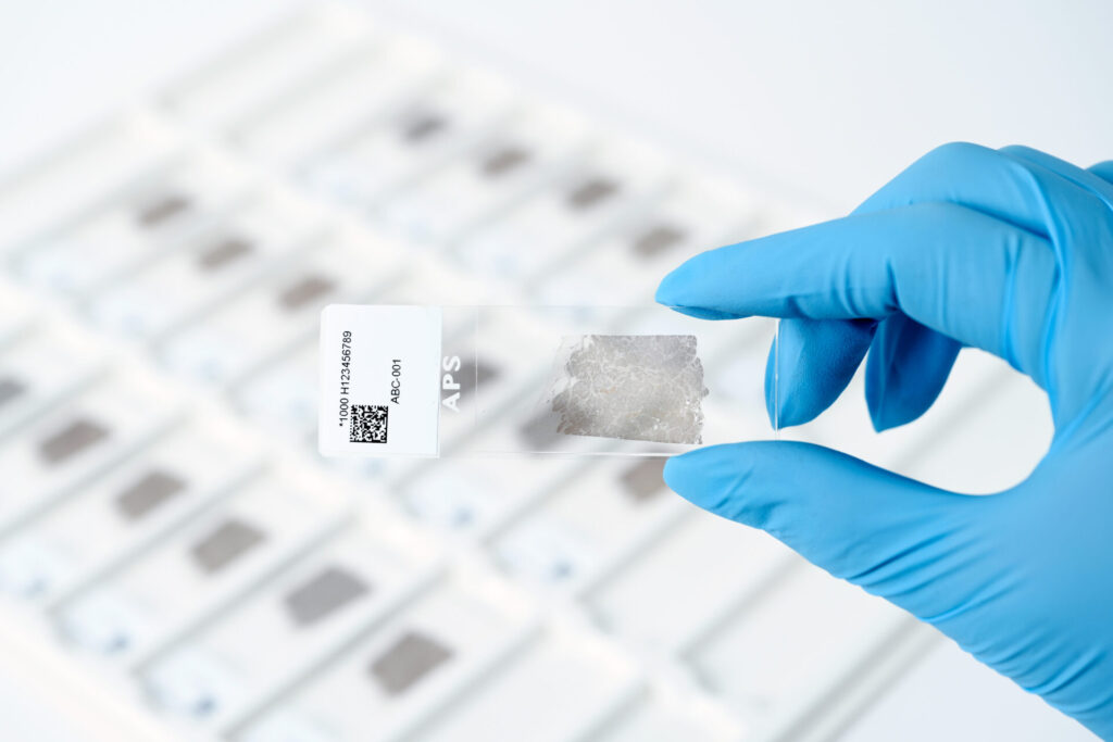 APS™ Adhesion Microscope Slides